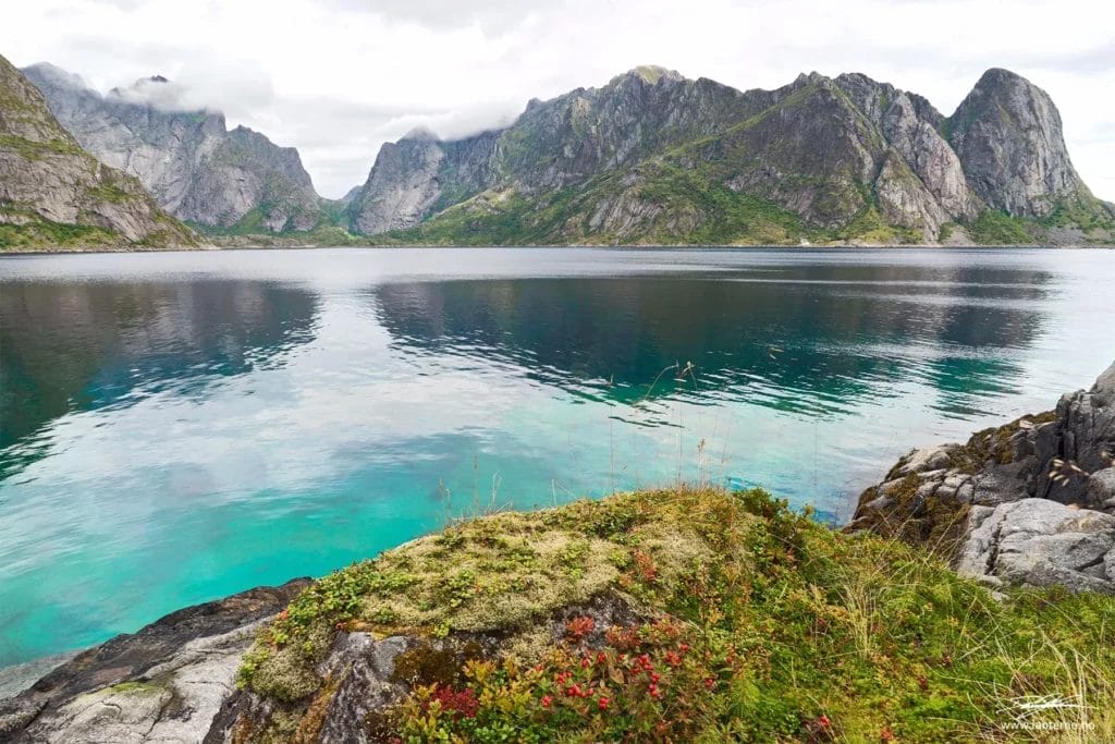 Portrettbilde av kvinne i vakre omgivelser.